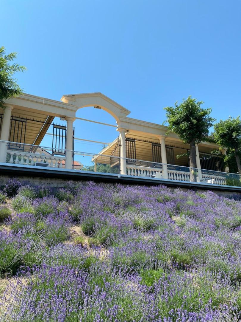 La Gioconda Boutique Hotel Odessa Exterior foto